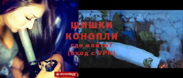 соль ск Вяземский