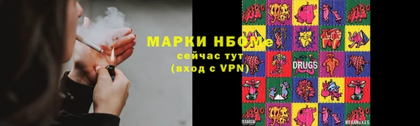 соль ск Вяземский