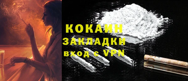 соль ск Вяземский