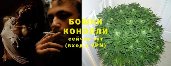2c-b Горнозаводск