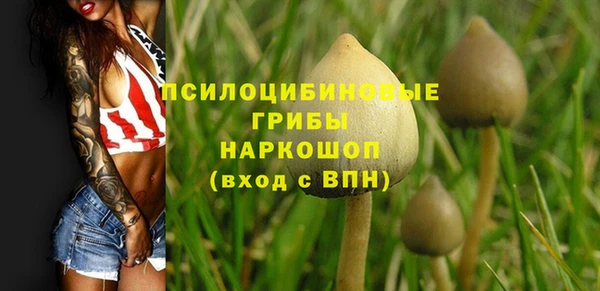 соль ск Вяземский